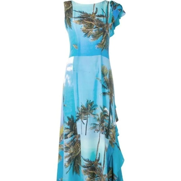 Natasha Zinko Dress Printed Frilled Maxi Sz 6 - Picture 4 of 4